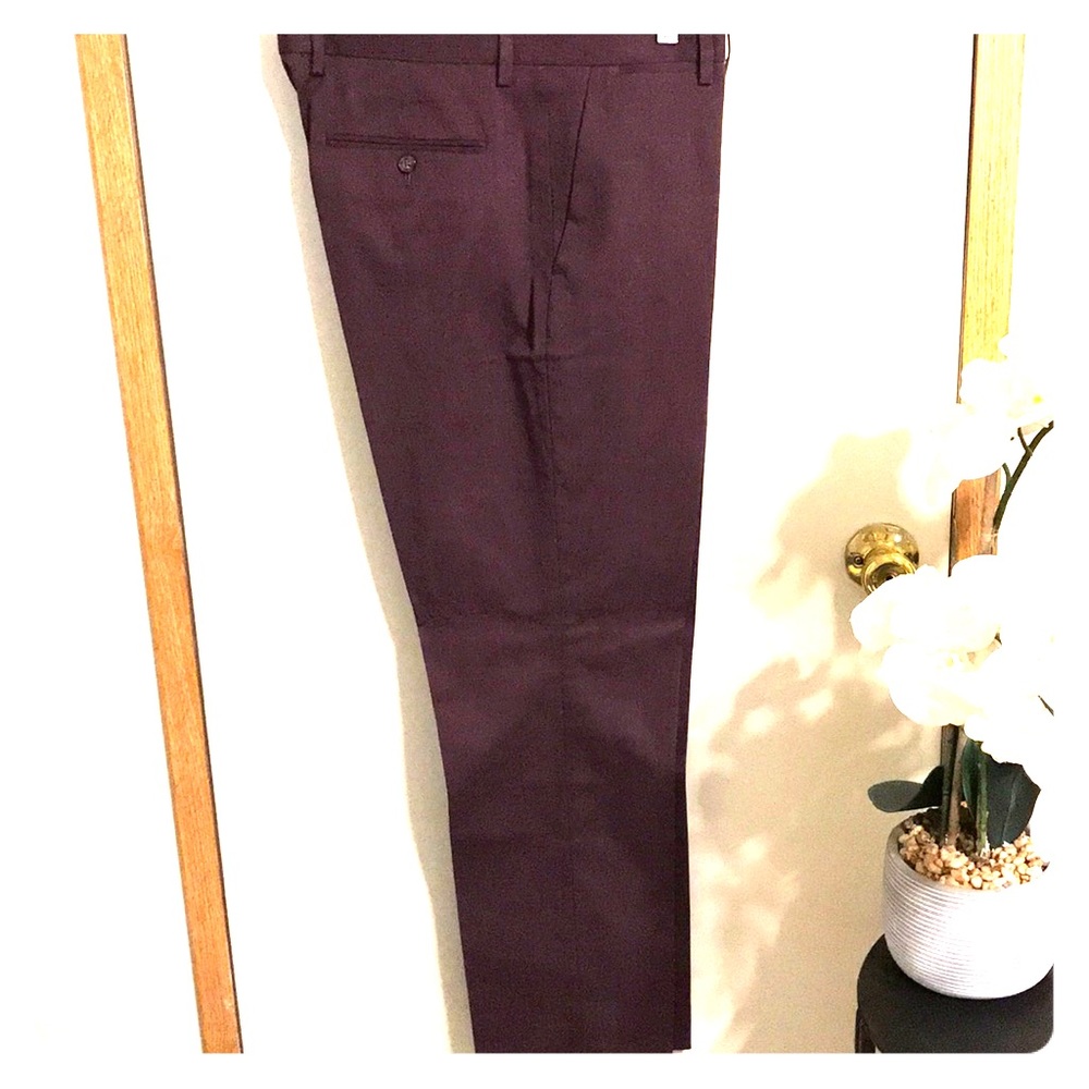 Express Photographer Suit Pant